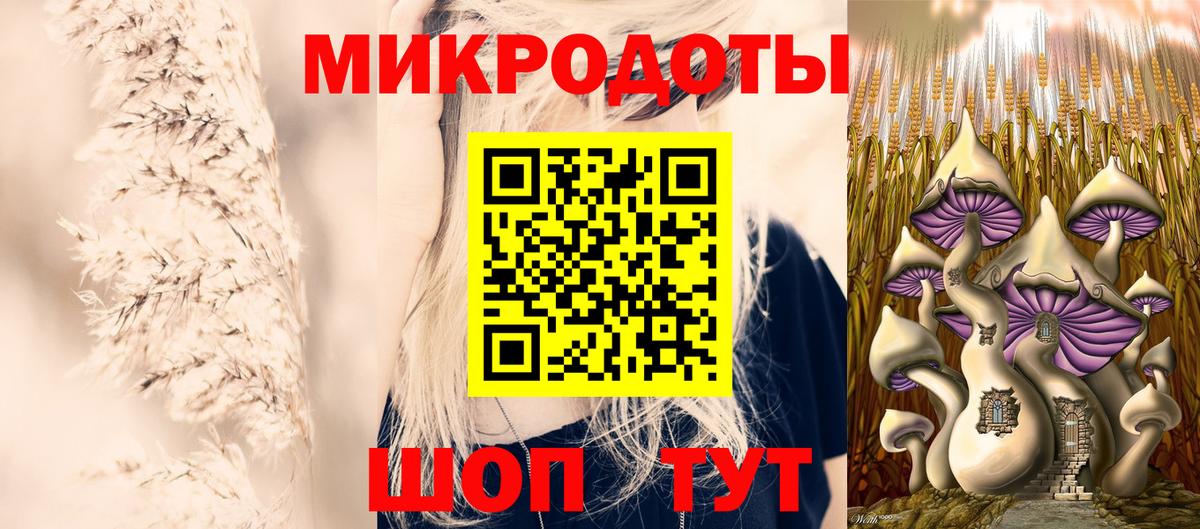 Соль-Илецк  Псилоцибиновые грибы Cubensis  Вход с VPN 