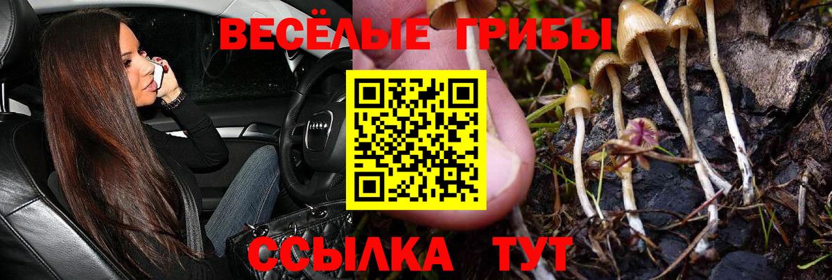 Псилоцибиновые грибы Cubensis Соль-Илецк